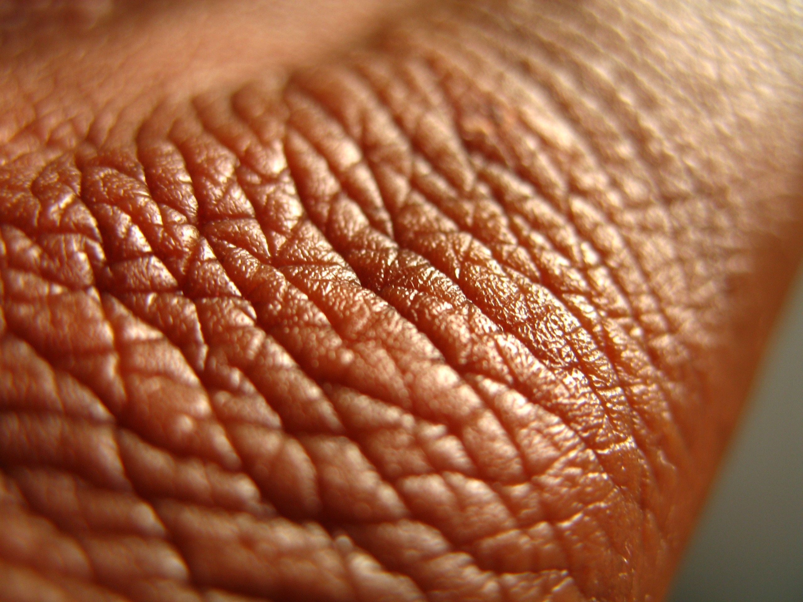 Circadian Rhythm Affects Wound Healing Daytime Injuries Heal Faster